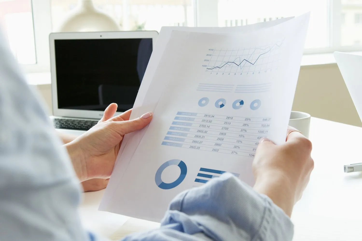 Leitura de gráficos e resultados financeiros da empresa em Porto Feliz · SP